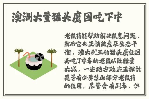 爱情100度